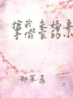 抢我未婚妻我反手偷家的小说