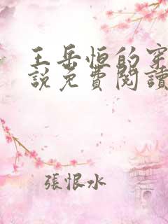 王岳恒的穿越小说免费阅读