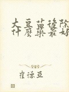 大豆苗后除草剂什么药最好