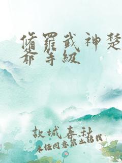 修罗武神楚枫爷爷等级