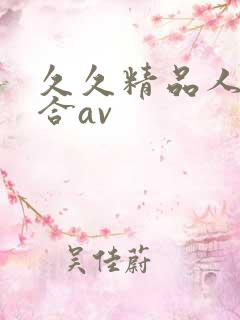 久久精品人妻综合av