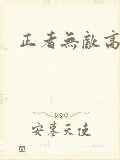 正者无敌高清