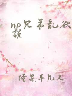 np兄弟乱欲小说
