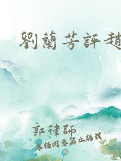 刘兰芳评赵匡胤