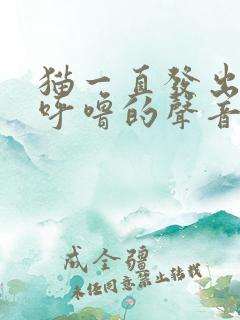 猫一直发出呼噜呼噜的声音不停