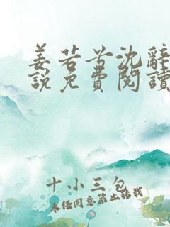 姜若兮沈辞安小说免费阅读最新章节