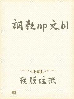 调教np文bl