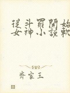 从斗罗开始俘获女神小说软件