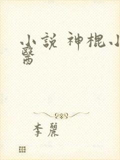 小说 神棍小村医