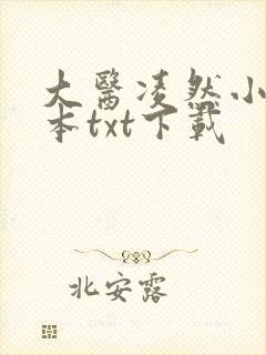 大医凌然小说全本txt下载