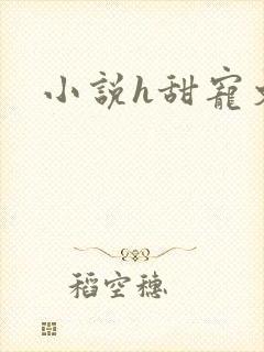 小说h甜宠文
