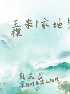 玉米1亩地多少棵