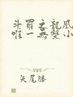 斗罗之龙凰传说唯一无双小说