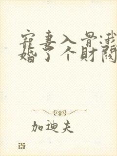 宠妻入骨:我闪婚了个财阀大佬