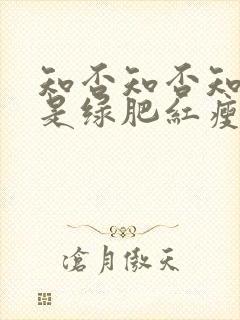 知否知否知否应是绿肥红瘦原著叫什么