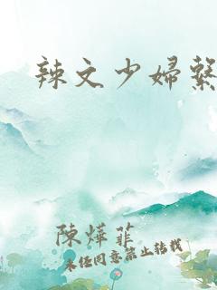 辣文少妇系列