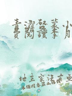 青涩启蒙小说免费阅读李月苏勇