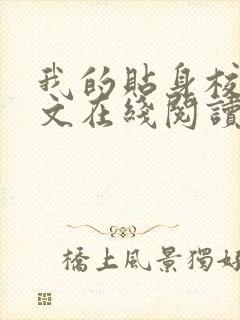 我的贴身校花全文在线阅读