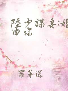 陆少谋妻:婚不由你