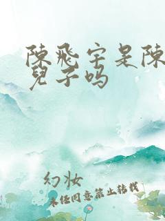 陈飞宇是陈凯歌儿子吗