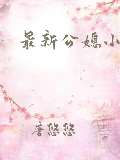 最新公媳小说