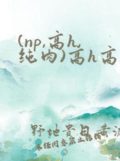 (np,高h,纯肉)高h高辣h