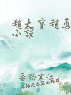 赵大宝赵勇苏媚小说