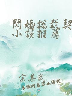 闪婚总裁契约妻小说推荐