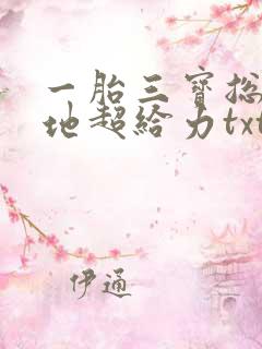 一胎三宝总裁爹地超给力txt