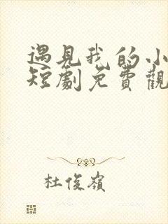 遇见我的小欢喜短剧免费观看全集高清