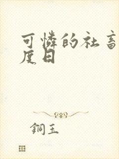 可怜的社畜 东度日