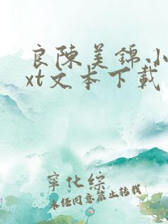 良陈美锦小说txt文本下载