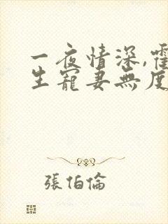 一夜情深,霍先生宠妻无度完本