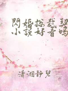 闪婚总裁契约妻小说好看吗