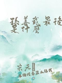 孙善武最后结局是什么