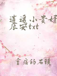 逍遥小贵婿 李辰安txt