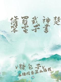 修罗武神楚枫下装电子书