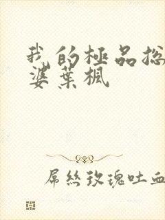 我的极品总裁老婆叶枫