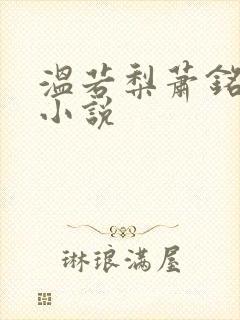 温若梨萧铭翊的小说