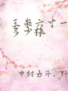 玉米六寸一亩地多少株