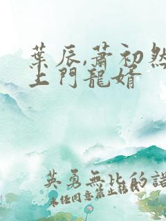 叶辰,萧初然的上门龙婿