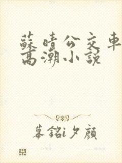 苏晴公交车被弄高潮小说
