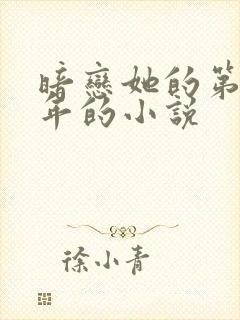 暗恋她的第十一年的小说