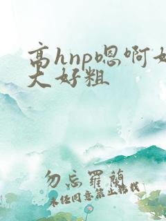 高hnp嗯啊好大好粗