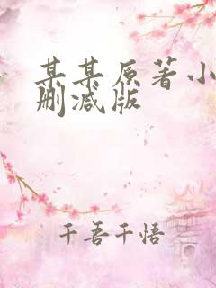 某某原著小说未删减版