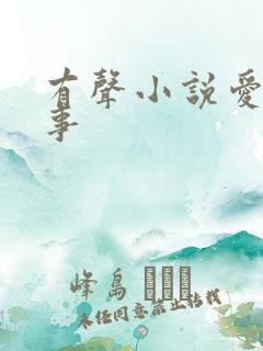 有声小说爱情故事