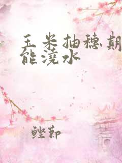 玉米抽穗期能不能浇水