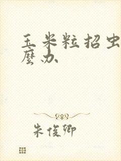 玉米粒招虫子怎么办