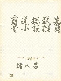 霸道总裁先婚后爱小说推荐