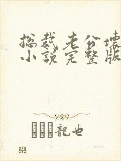 总裁老公坏又甜小说完整版大结局